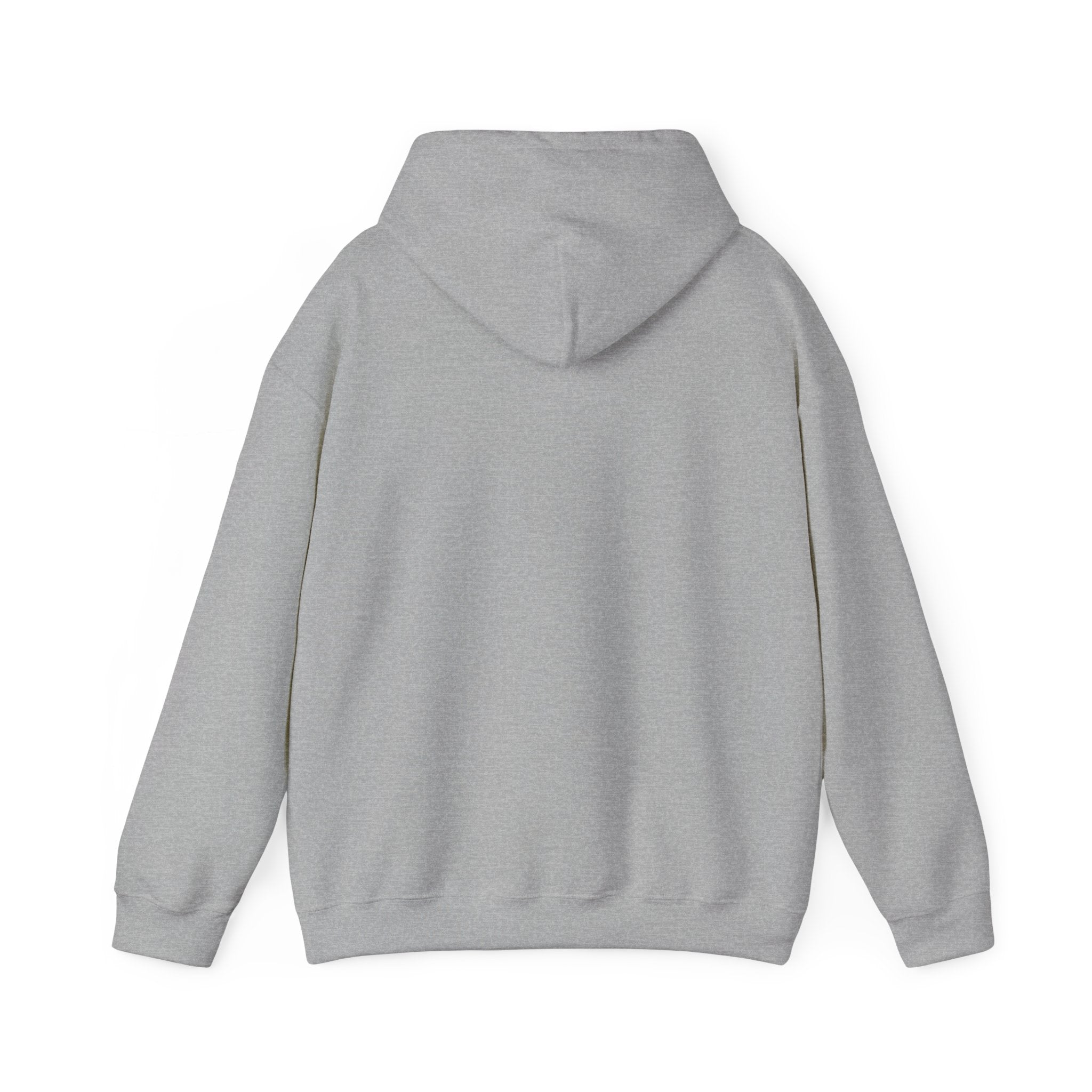 Pixel Popup '404 Friend Not Found' Hoodie | Y2K retro tech, virtual pet nostalgia