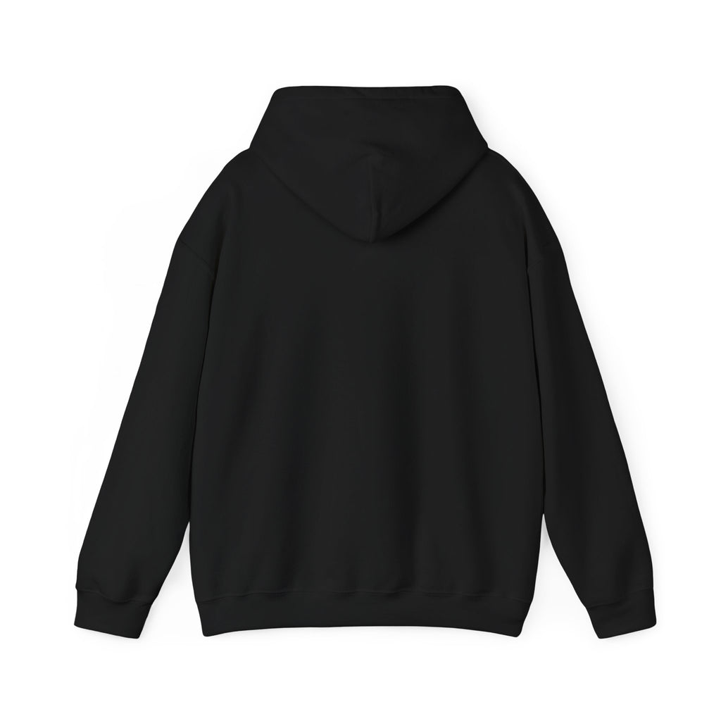 Pixel Popup '404 Friend Not Found' Hoodie | Y2K retro tech, virtual pet nostalgia